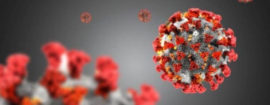 immagine rappresentativa del virus covid 19