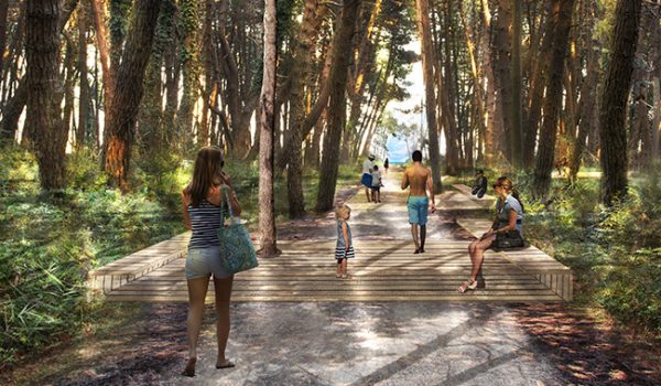 Parco Marittimo, il rendering del percorso pinetale